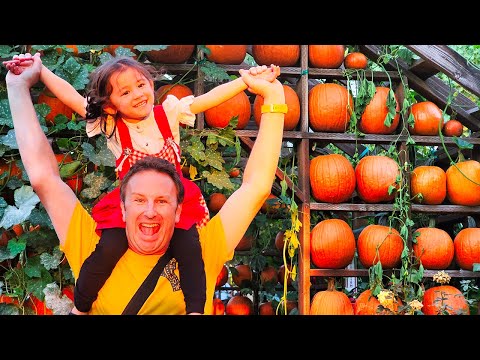 Southern California's Largest Pumpkin Patch: Live Oak Canyon