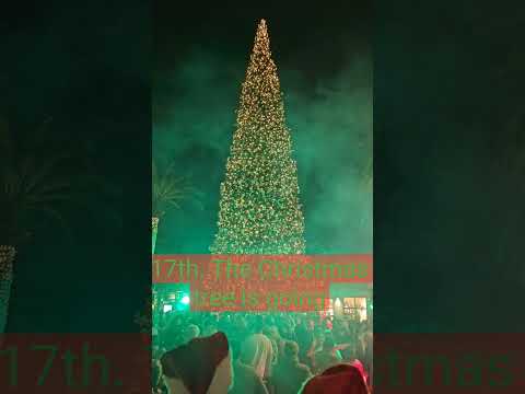 90 Foot Tall Christmas Tree in Newport Beach