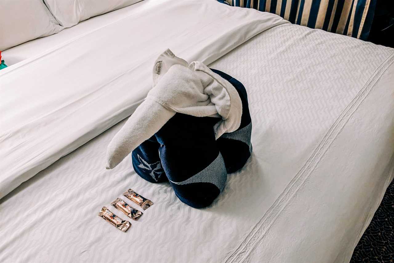 Towel elephant with chocolates on Disney Dream cruise ship