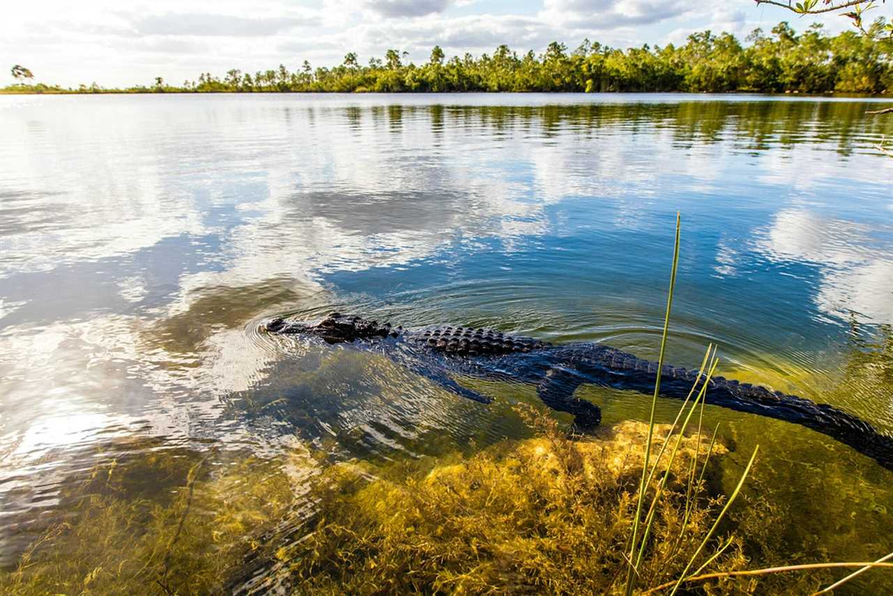 11 of the best national parks to visit during winter