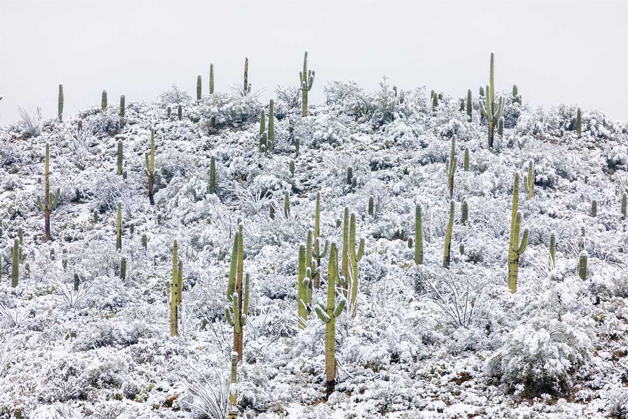 11 of the best national parks to visit during winter