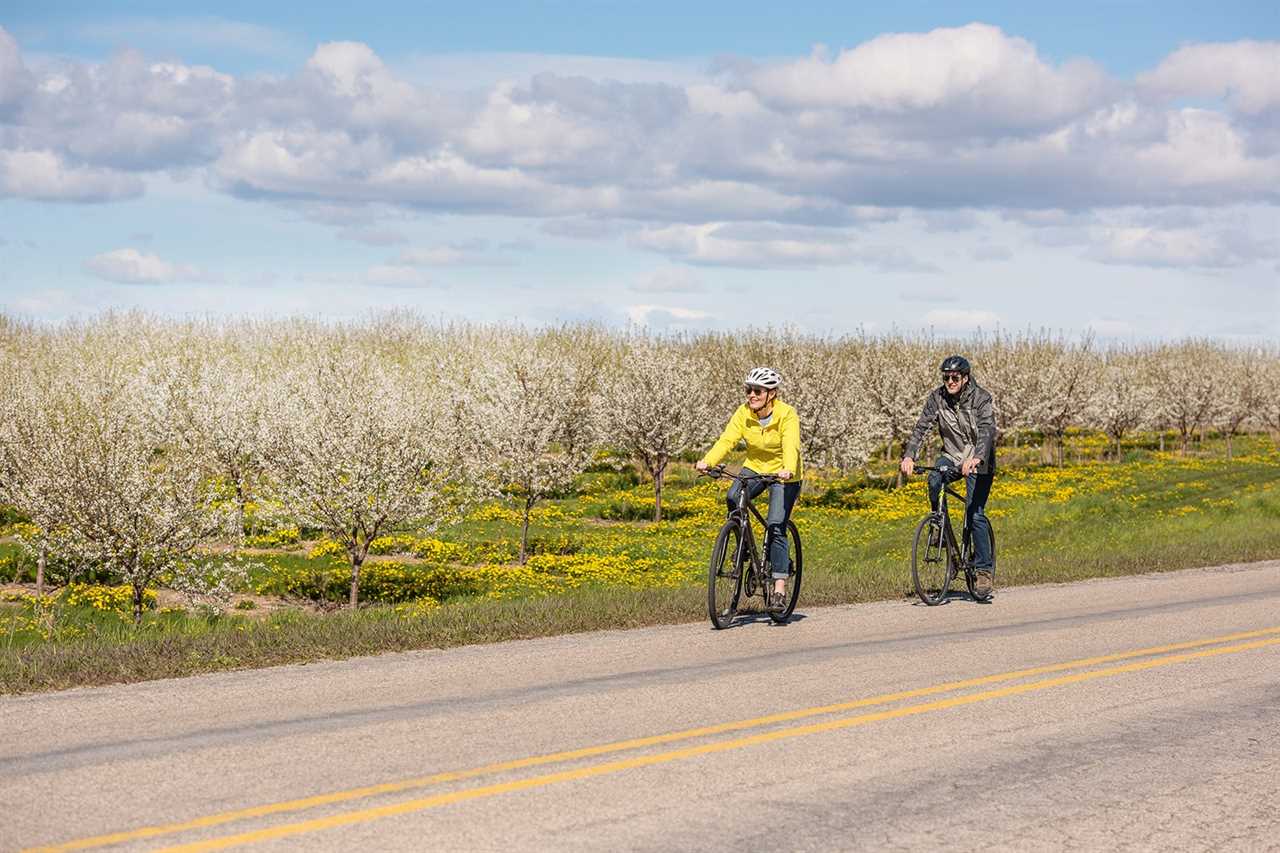 michigan cherry blossoms