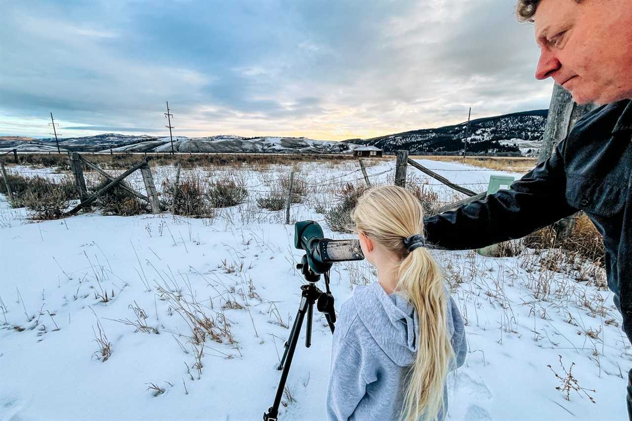 Waffles on the mountaintop and wildlife safaris: 7 family-friendly things to do in Jackson Hole during winter