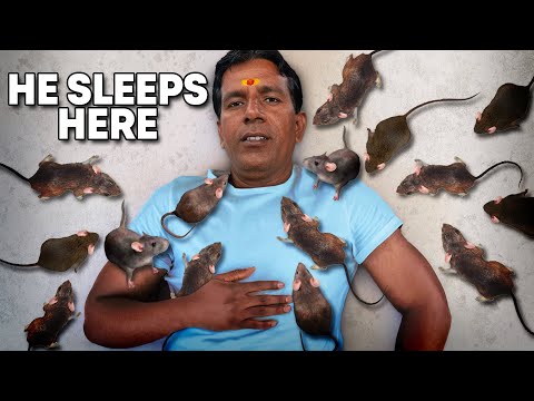 Meet the Rat King Who Worships 25,000 Rats