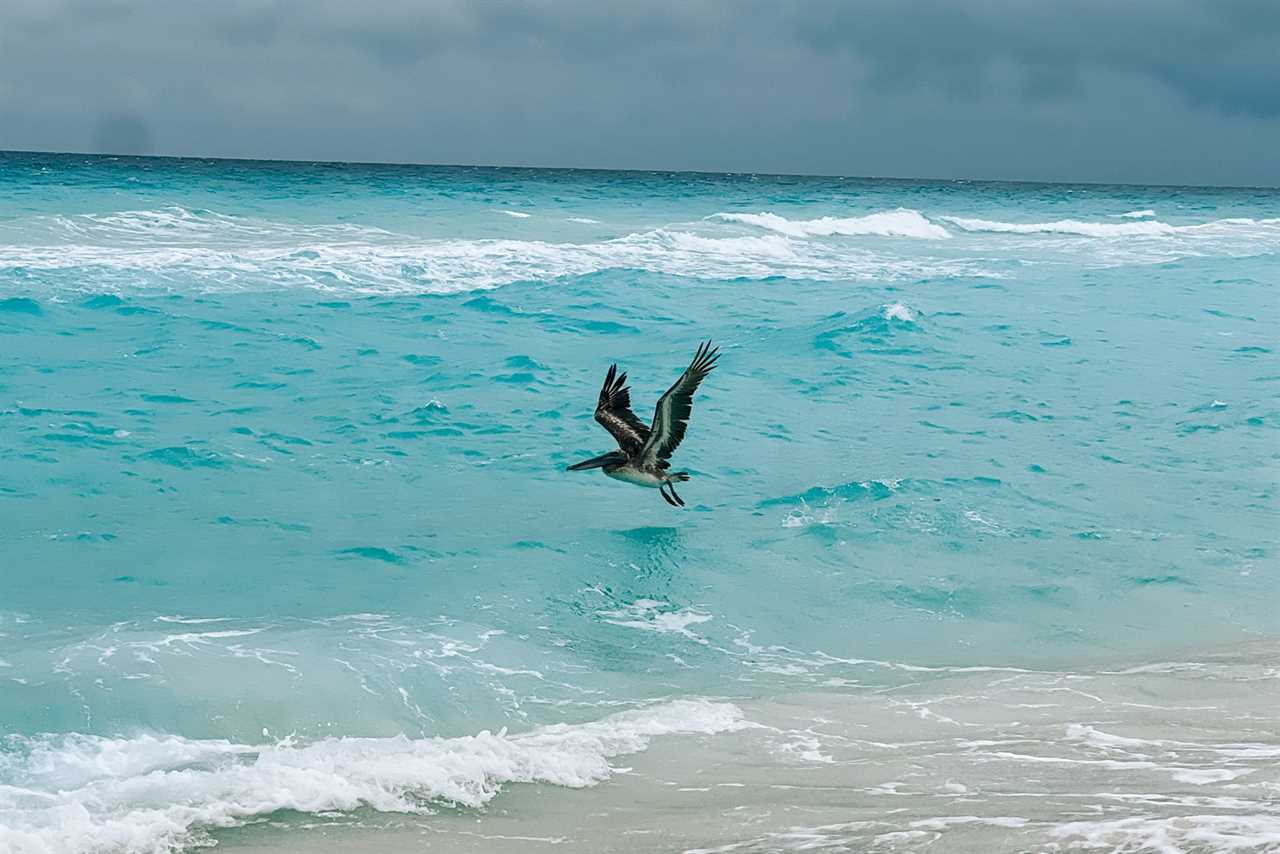 Good food, new rooms and incredible ocean views: A review of the Hilton Cancun Mar Caribe All-Inclusive Resort