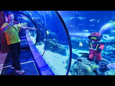 Go Inside SEA LIFE Aquarium at LEGOLAND California